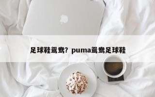 足球鞋鸳鸯？puma鸳鸯足球鞋