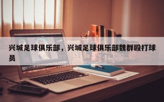 兴城足球俱乐部，兴城足球俱乐部魏群殴打球员