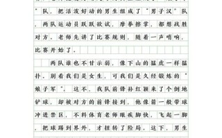 校园的足球场，校园的足球场作文怎么写300字