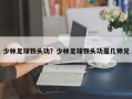 少林足球铁头功？少林足球铁头功是几师兄