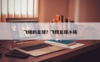 飞翔的足球？飞翔足球小将