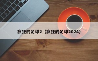 疯狂的足球2（疯狂的足球2024）