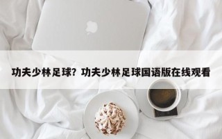 功夫少林足球？功夫少林足球国语版在线观看