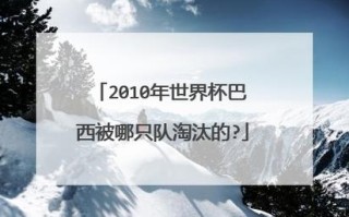 2010年世界杯荷兰队战绩？2010世界杯荷兰阵容