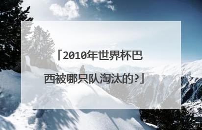 2010年世界杯荷兰队战绩？2010世界杯荷兰阵容