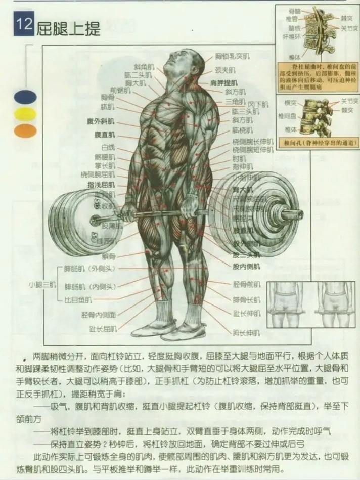 举重比赛可以用助力带吗？举重比赛可以用腰带吗