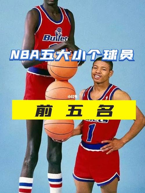 nba最矮球员韦伯（nba 最矮）