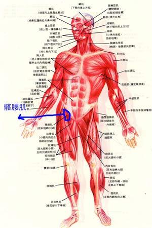 中国足球队队员的赘肉？中国足球队员的身材