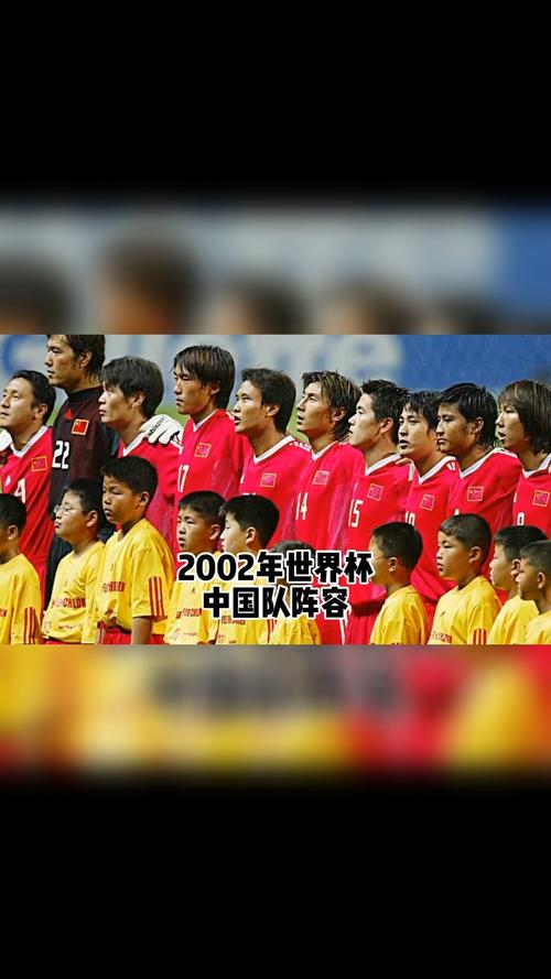 2002世界杯中国队出场名单？2002年世界杯中国队出场阵容