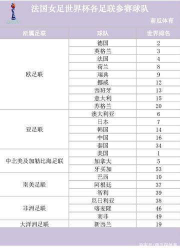 06年世界杯中国队战绩，06年世界杯中国队战绩表