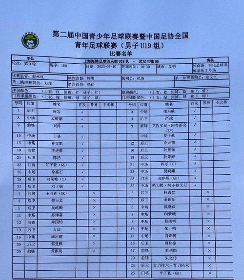 老申花足球队队员名单，申花老队长