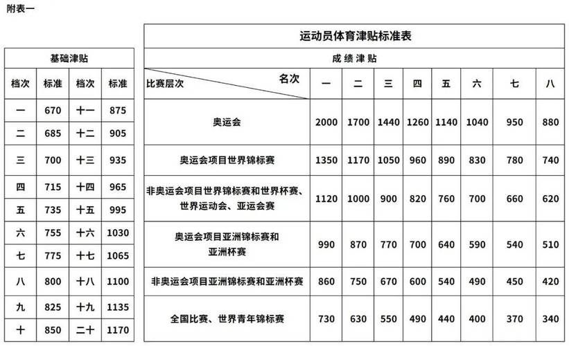 中国国家队运动员工资是多少（中国国家队运动员工资是多少钱）