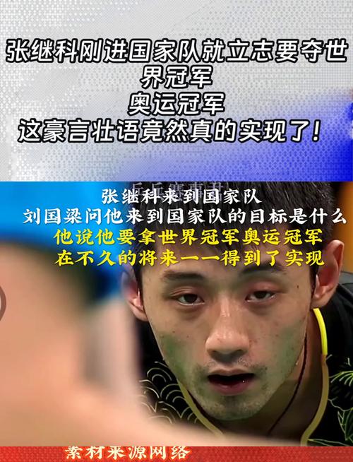 乒乓球员张继科退役了吗（乒乓球队员张继科现在做什么）