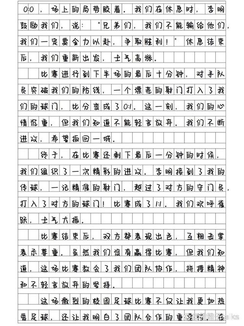 校园的足球场，校园的足球场作文怎么写300字