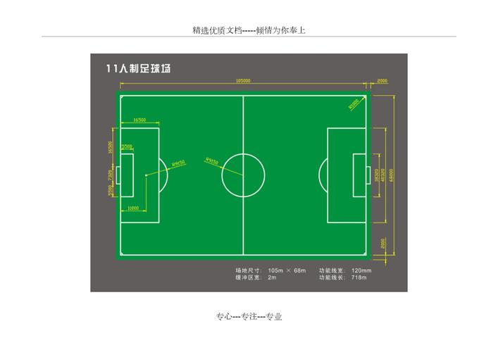 足球场草坪费用，足球场草坪费用是多少钱一平方