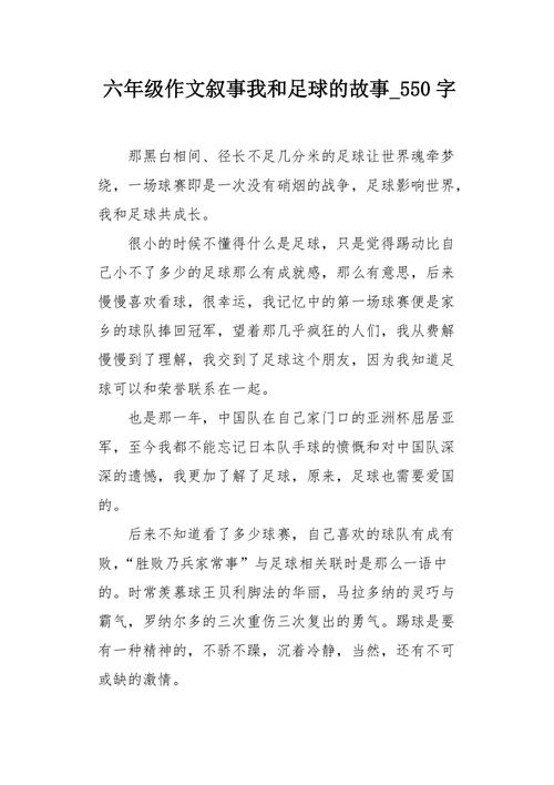 我和足球的故事的简单介绍