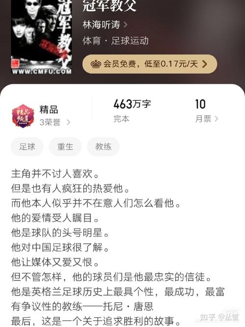 足球类小说（足球类小说大全）