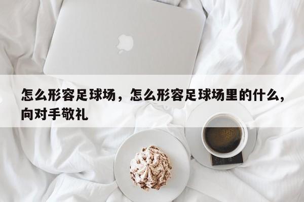 怎么形容足球场，怎么形容足球场里的什么,向对手敬礼