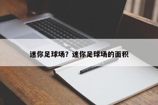 迷你足球场？迷你足球场的面积