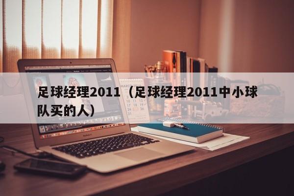 足球经理2011（足球经理2011中小球队买的人）