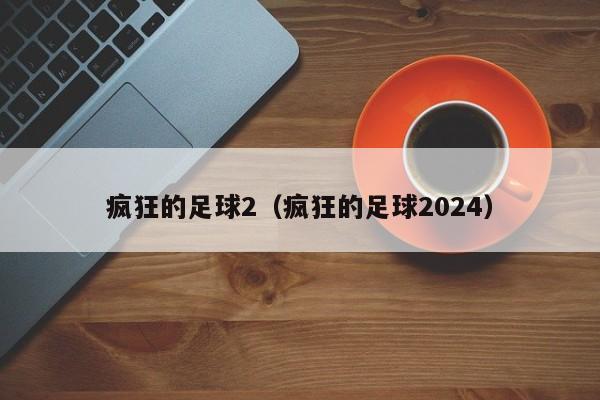 疯狂的足球2（疯狂的足球2024）